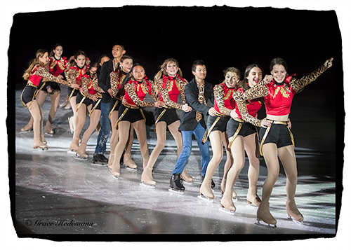 DSCIceShow2018