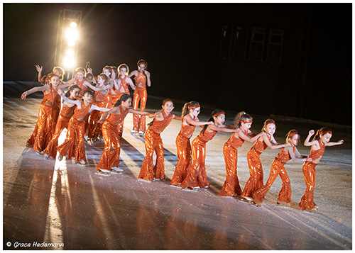 DSCIceShow2019