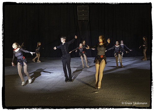 DSCIceShow2021